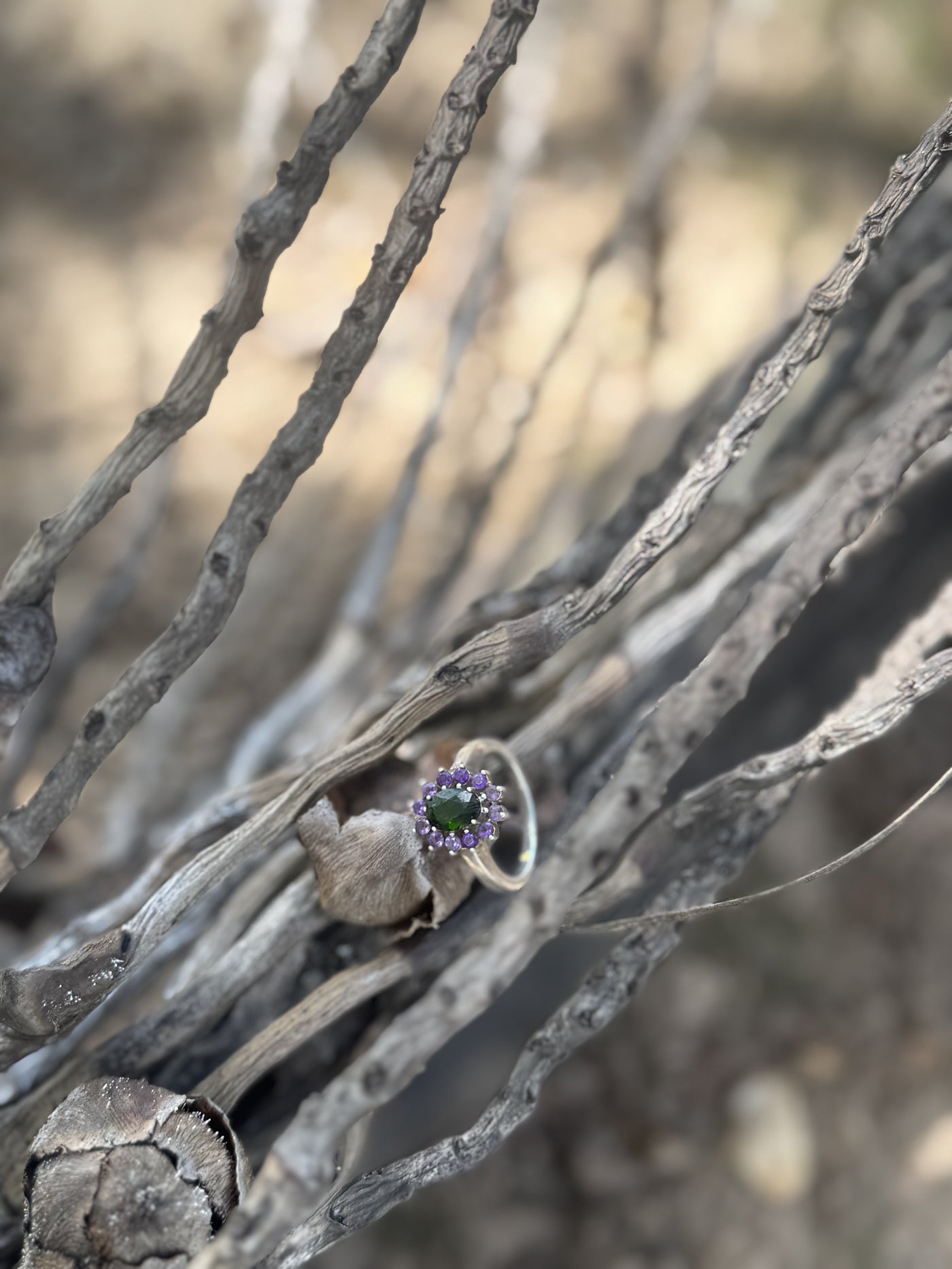 Alma de Mar · Regeneración · Sabiduría — Anillo